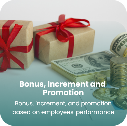 Bonus, Increment and Promotion